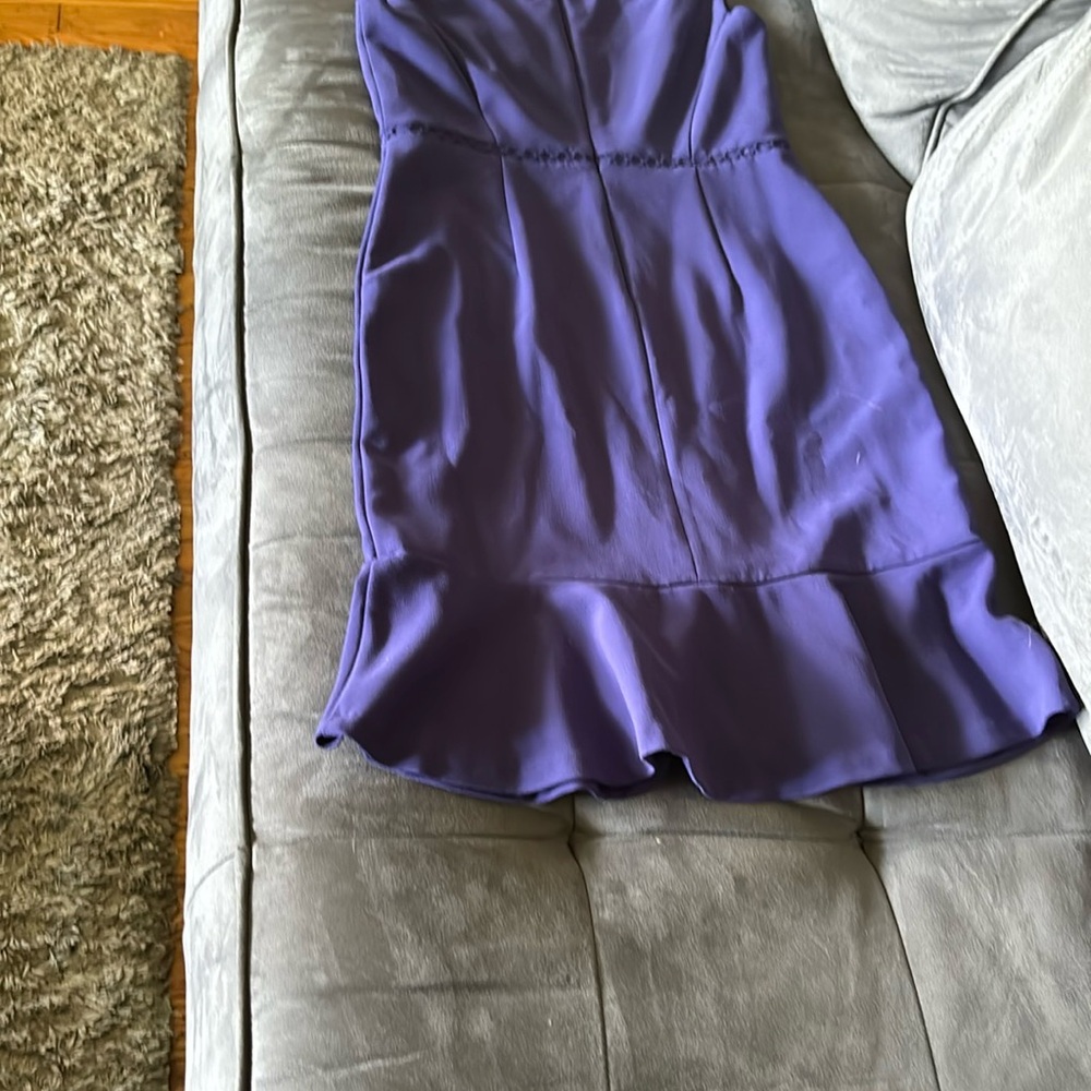 Ann Taylor Sz 2P Elegant Purple Sleeveless Dress - Picture 4 of 4